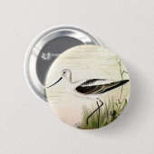 ヴィンテージ海洋生物ショアバード、アボケの鳥 缶バッジ (正面&裏面)