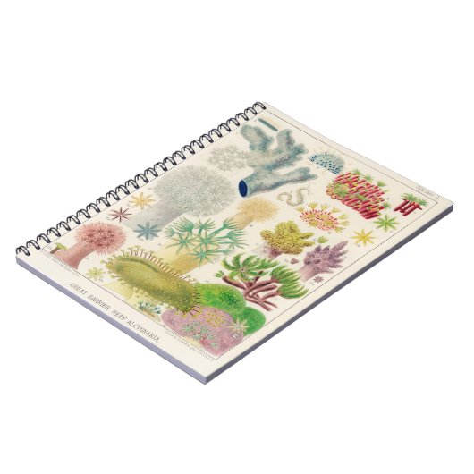 ヴィンテージ海洋生物学イラストレーション- g ノートブック (左側)