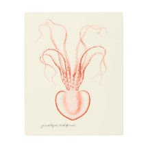 ヴィンテージ海洋生物学海洋学