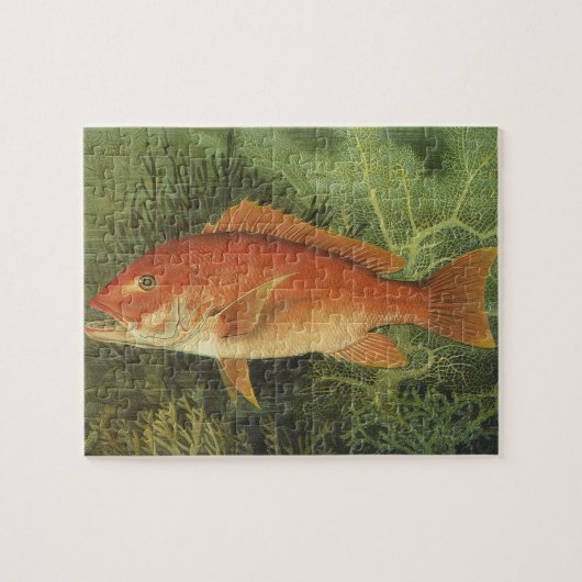 ヴィンテージ海洋生物、海の中の赤鯛 ジグソーパズル (横)