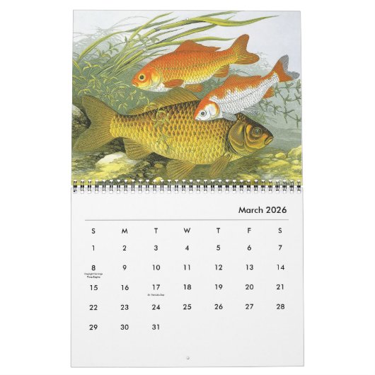 ヴィンテージ海洋生物、海洋、河川 カレンダー (3月 2026)