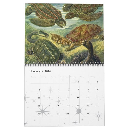 ヴィンテージ海洋生物・海海洋生物 カレンダー (1月 2026)