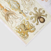 ヴィンテージ海Octopus Squid Collage 薄葉紙 (詳細)