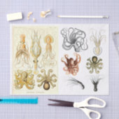 ヴィンテージ海Octopus Squid Collage 薄葉紙 (クラフト)
