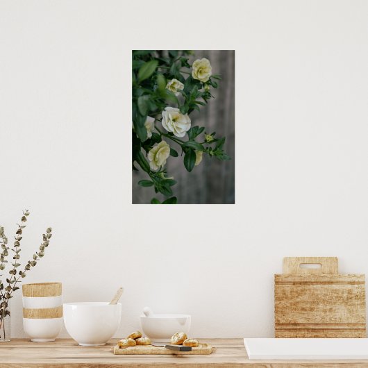 ヴィンテージ淡い色のイエローペチュニア ポスター (キッチン)