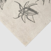 ヴィンテージ減虫ティッシュペーパー 薄葉紙 (詳細)