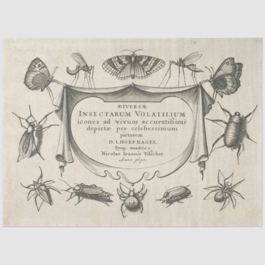 ヴィンテージ減虫ティッシュペーパー 薄葉紙 (正面)