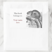 ヴィンテージ滑空機イラストレーション蔵書票 長方形シール (バッグ)