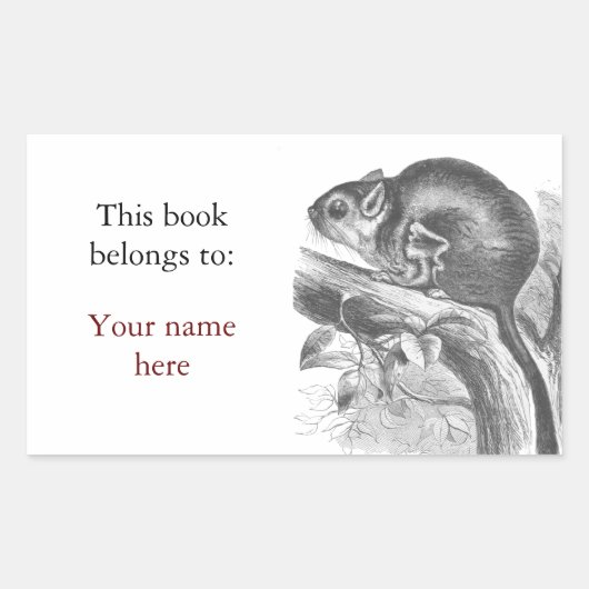 ヴィンテージ滑空機イラストレーション蔵書票 長方形シール (正面)