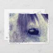 ヴィンテージ灰色 ポストカード (正面/裏面)