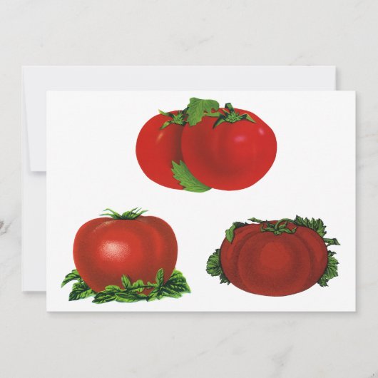 ヴィンテージ熟したトマト食品、果物、野菜 (正面)