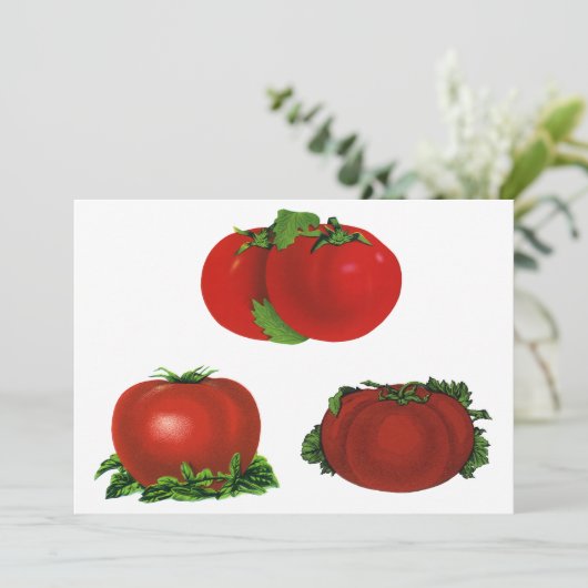 ヴィンテージ熟したトマト食品、果物、野菜 (スタンド正面)