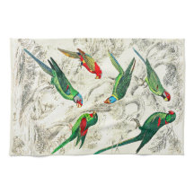 ヴィンテージ熱帯グリーンパロット