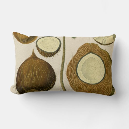 ヴィンテージ熱帯ココナツ ランバークッション (正面)