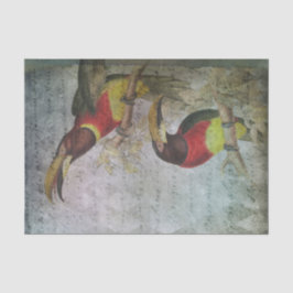 ヴィンテージ熱帯トゥーカン 薄葉紙