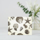 ヴィンテージ熱帯ビーチシーシェ結婚ル病 ポストカード (スタンド正面)