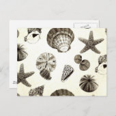 ヴィンテージ熱帯ビーチシーシェ結婚ル病 ポストカード (正面/裏面)