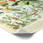 ヴィンテージ熱帯密林の鳥ポスター ポスター (角)