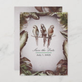 ヴィンテージ熱帯性チキの鳥のオウムが日曜保存 案内ポストカード (正面/裏面)