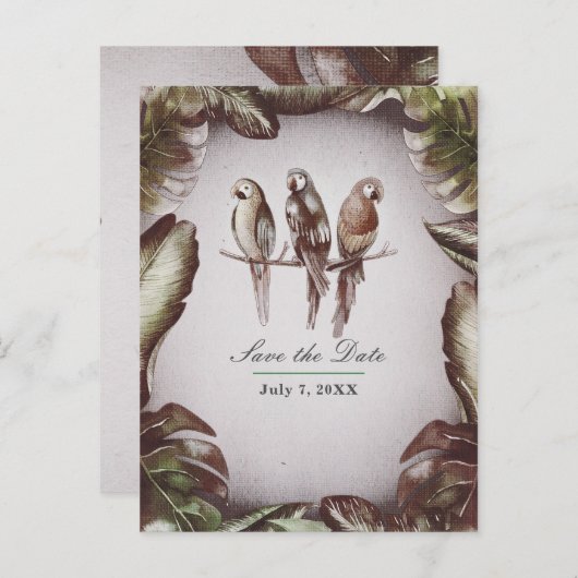 ヴィンテージ熱帯性チキの鳥のオウムが日曜保存 案内ポストカード (正面/裏面)