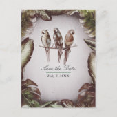 ヴィンテージ熱帯性チキの鳥のオウムが日曜保存 案内ポストカード (正面)