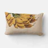 ヴィンテージ熱帯性バナナランバーピロー ランバークッション (裏面)