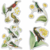 ヴィンテージ熱帯植物のハミングバード シール (正面)