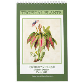 ヴィンテージ熱帯植物2026 カレンダー