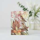 ヴィンテージ熱帯蘭、花とハミングバード ポストカード (スタンド正面)