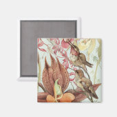 ヴィンテージ熱帯蘭、花とハミングバード マグネット (正面/裏面)