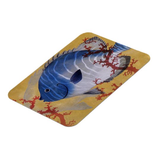 ヴィンテージ熱帯青魚サンゴ海の海生活 マグネット (左側)