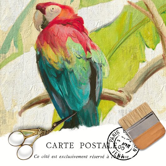 ヴィンテージ熱帯鳥のテクスチ素朴ャの分離 薄葉紙