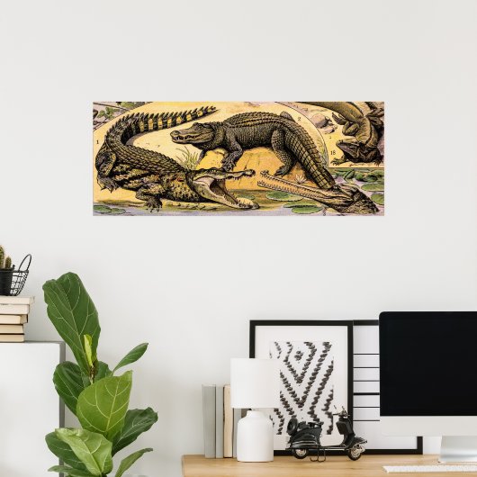 ヴィンテージ爬虫類イラストレーションバイアドルフェミロ ポスター (ホームオフィス)