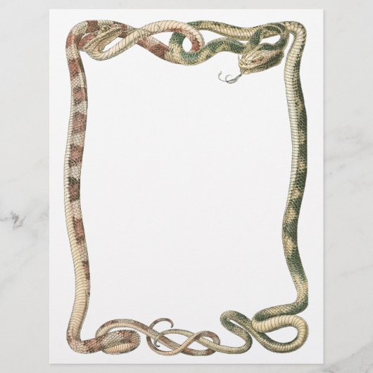 ヴィンテージ爬虫類、絡みヘビ又はバイパー縁どズ チラシ (正面)