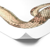 ヴィンテージ爬虫類、絡みヘビ又はバイパー縁どズ ポスター (角)