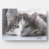 ヴィンテージ父の日の猫の最高のパパ写真プラーク フォトプラーク (正面)