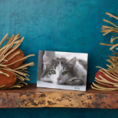 ヴィンテージ父の日の猫の最高のパパ写真プラーク フォトプラーク (側面)