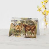 ヴィンテージ牛か牧草地の挨拶状 カード