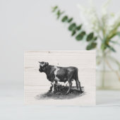 ヴィンテージ牛去勢 ポストカード (スタンド正面)