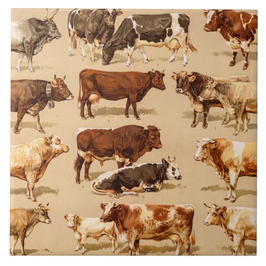 ヴィンテージ牛子牛のBullの乳牛の農場のイラストレーション タイル (正面)