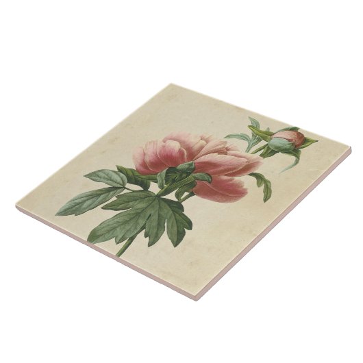 ヴィンテージ牡丹 タイル (側面)