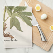 ヴィンテージ牡丹、牡丹の花Basilius Besler キッチンタオル (四つ折り)