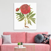 ヴィンテージ牡丹、牡丹の花Basilius Besler キャンバスプリント (インサイチュ (リビング))