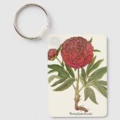 ヴィンテージ牡丹、牡丹の花Basilius Besler キーホルダー (正面)