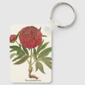 ヴィンテージ牡丹、牡丹の花Basilius Besler キーホルダー (裏面)