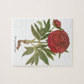 ヴィンテージ牡丹、牡丹の花Basilius Besler ジグソーパズル (横)