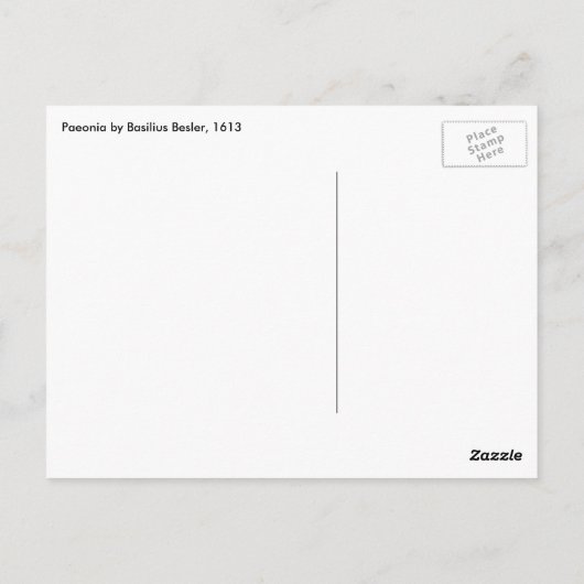 ヴィンテージ牡丹、牡丹の花Basilius Besler ポストカード (裏面)