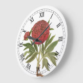 ヴィンテージ牡丹、牡丹の花Basilius Besler ラージ壁時計 (傾斜)