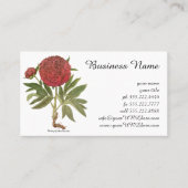 ヴィンテージ牡丹、牡丹の花Basilius Besler 名刺 (正面)