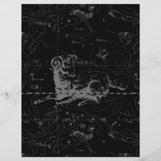 ヴィンテージ牡羊座の星座ヘベリアス1690 チラシ (正面)